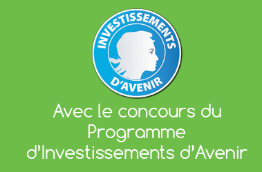 Programme Investissements d'Avenir